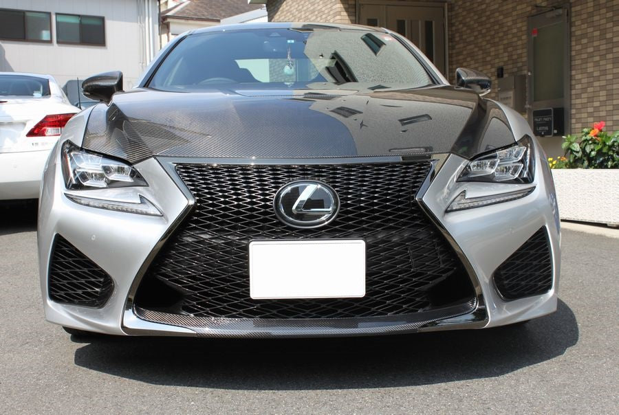 Lems RCF Pre-MC Grille Mould Lower Dry Carbon