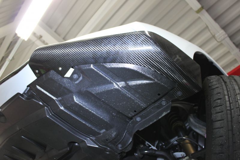 Lems RCF Dry Carbon Front Spoiler Ver1 for Pre-MC, Left and Right Set