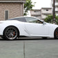 LEMS Dry carbon fiber side spoiler and splitter set (Ver. 1) for LC