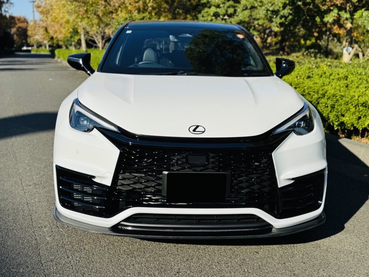 LEMS Japan Dry carbon front spoiler for LBX MORIZO RR