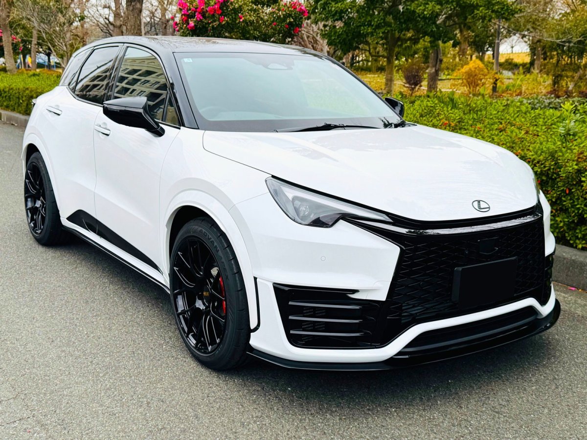 LEMS Japan Dry carbon front spoiler for LBX MORIZO RR