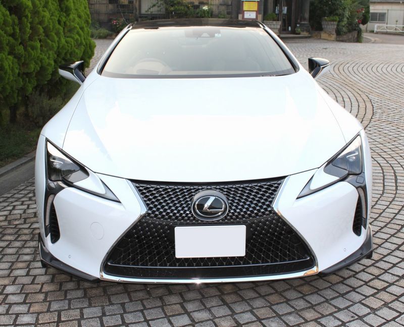 LEMS Dry carbon front spoiler 2pcs set (Ver. 1) for LC
