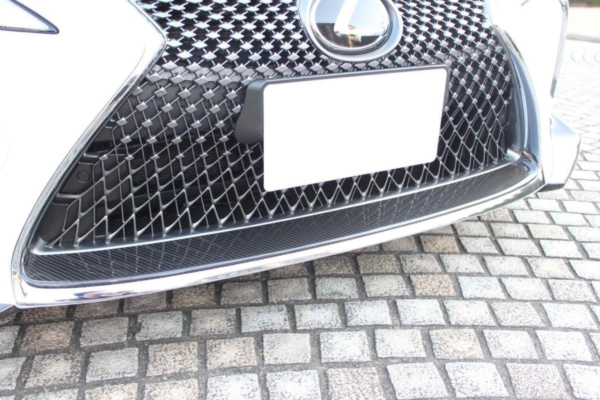 LEMS Dry carbon lower grille molding for LC