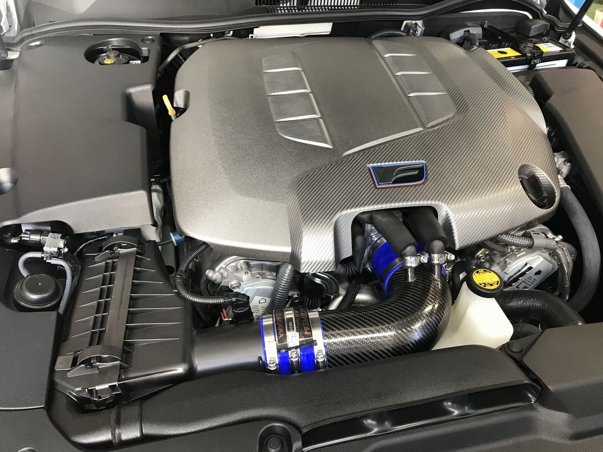 Lems Dry carbon intake pipe for ISF