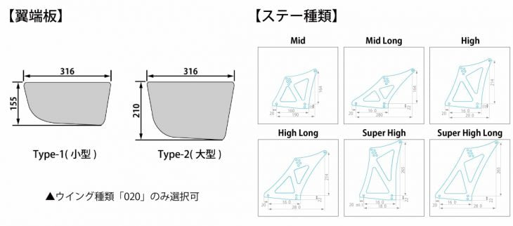 SARD Racing GT Wing mount + GT Wing for JZA80 Supra