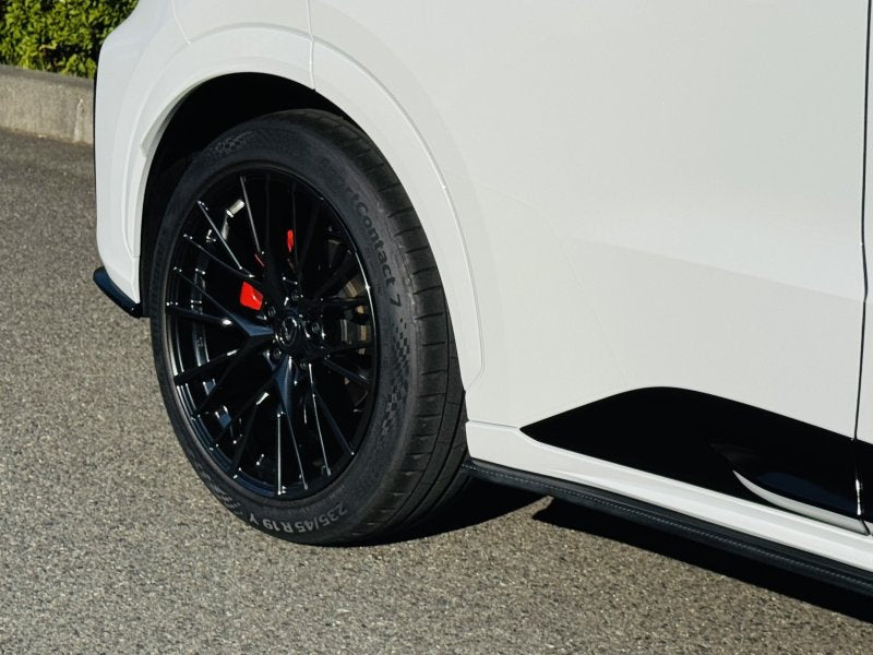 LEMS Dry Carbon Side skirts for Lexus LBX Morrizo RR