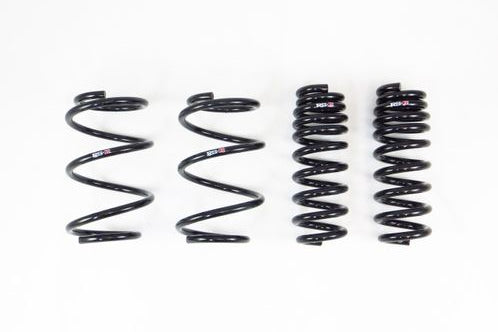 RS-R Down Springs for Toyota Corolla Touring (Wagon)