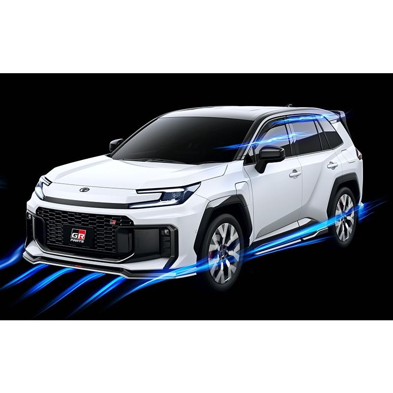 Toyota RAV4 TRD window visors