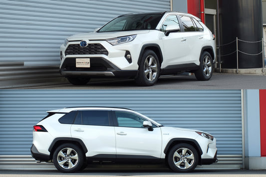RS-R Down Springs for Toyota RAV4 2019-2025 (5th Gen) Hybrid