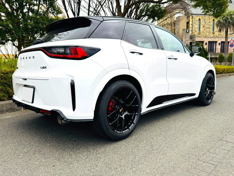 LEMS Dry Carbon Side skirts for Lexus LBX Morrizo RR
