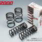 RS-R Ti2000 Springs for Toyota RAV4 2026+