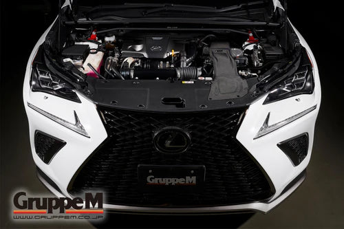 RAM AIR SYSTEM | LEXUS |NX200T/ NX300 | AGZ10・AGZ15 | 2017 ~ | 2.0 LITER